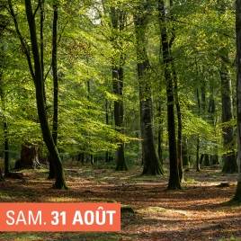 SLV14 MEUSE - RANDONNEE VENT DES FORETS