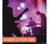 SLV 13 - ST DIZIER - CONCERET TRIBUTE GOLDMAN
