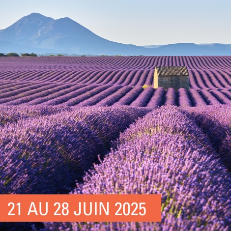 SLV07 LUNEVILLE - SEJOUR REGIONS PROPOSENT EN PROVENCE