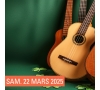 SLV13 SAINT DIZIER - CONCERT MAC GUINNESS