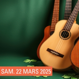 SLV13 SAINT DIZIER - CONCERT MAC GUINNESS