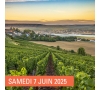 SLV 13 - SAINT DIZIER - DECOUVERTE DU CHAMPAGNE OUDART ORTILLON