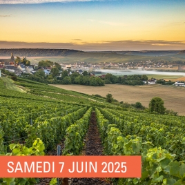 SLV 13 - SAINT DIZIER - DECOUVERTE DU CHAMPAGNE OUDART ORTILLON