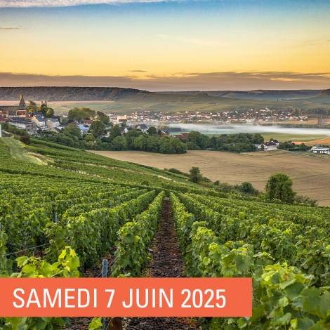 SLV 13 - SAINT DIZIER - DECOUVERTE DU CHAMPAGNE OUDART ORTILLON