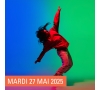 SLV14 MEUSE - SPECTACLE HIP HOP  " MU " PAR DADR COMPAGNIE