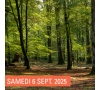 SLV14 MEUSE - RANDO VENT DES FORÊTS