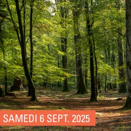 SLV14 MEUSE - RANDO VENT DES FORÊTS