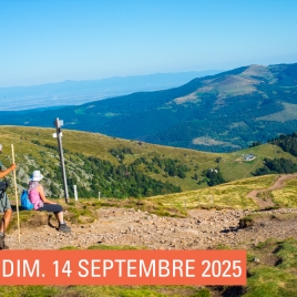 SLV12 REMIREMONT - MARCHE GOURMANDE A RODEREN