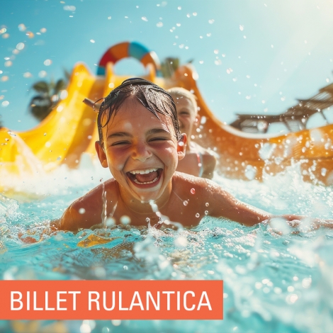 SLV06 NANCY EST - BILLETTERIE RULANTICA
