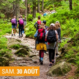 SLV08 EPINAL - MARCHE A DOGNEVILLE