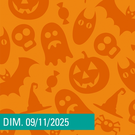 SLV02 CATTENOZ ORIGIN - SLV03 NANCY EST - SLV04 GDF NANCY - BOOM HALLOWEEN INTER SLV02-03-04