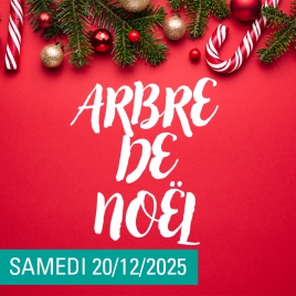 SLV07 - LUNEVILLE - ARBRE DE NOEL
