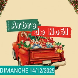 SLV15 - LANGRES-CHAUMONT - ARBRE DE NOEL