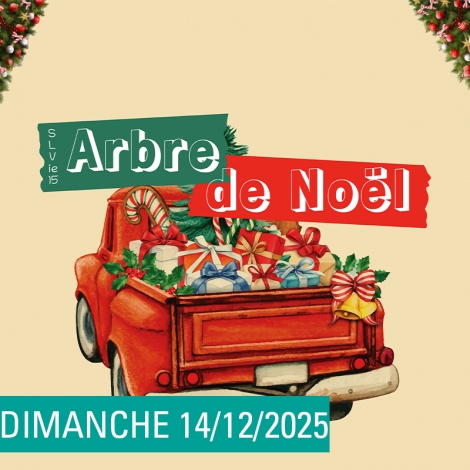 SLV15 - LANGRES-CHAUMONT - ARBRE DE NOEL