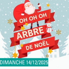 SLV05 VAL DE LORRAINE - ARBRE DE NOEL