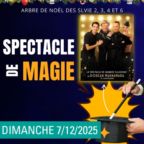 SLV02-03-04-06 - ARBRE DE NOEL