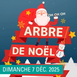 ARBRE DE NOEL VOSGES - SLV08 - 09 - 11 - 12