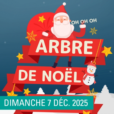 ARBRE DE NOEL VOSGES - SLV08 - 09 - 11 - 12