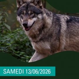 SLV06 NANCY SUD - PARC DE STE CROIX RHODES