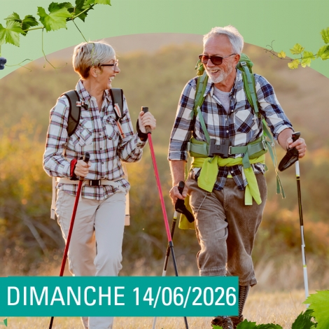 SLV12 REMIREMONT - MARCHE GOURMANDE AMMERSCHWIHR