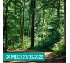 RANDO VENT DES FORETS -SLVIE 14
