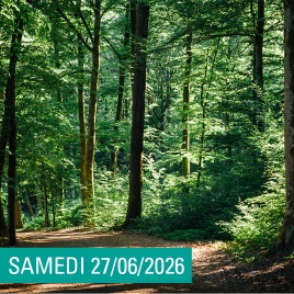 RANDO VENT DES FORETS -SLVIE 14