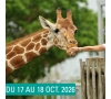 SLV13 SAINT DIZIER - ZOO DE BEAUVAL