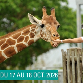 SLV13 SAINT DIZIER - ZOO DE BEAUVAL