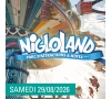 SLV15 - LANGRES / CHAUMONT - NIGLOLAND
