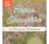SLV15 - LANGRES/CHAUMONT - REPAS CHAMPETRE