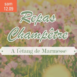 SLV15 - LANGRES/CHAUMONT - REPAS CHAMPETRE