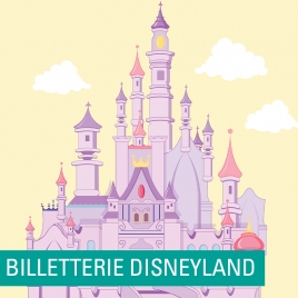 SLV 14 - MEUSE BILLETERIE DISNEYLAND
